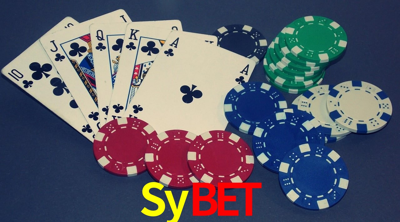 Security Systems Sybet